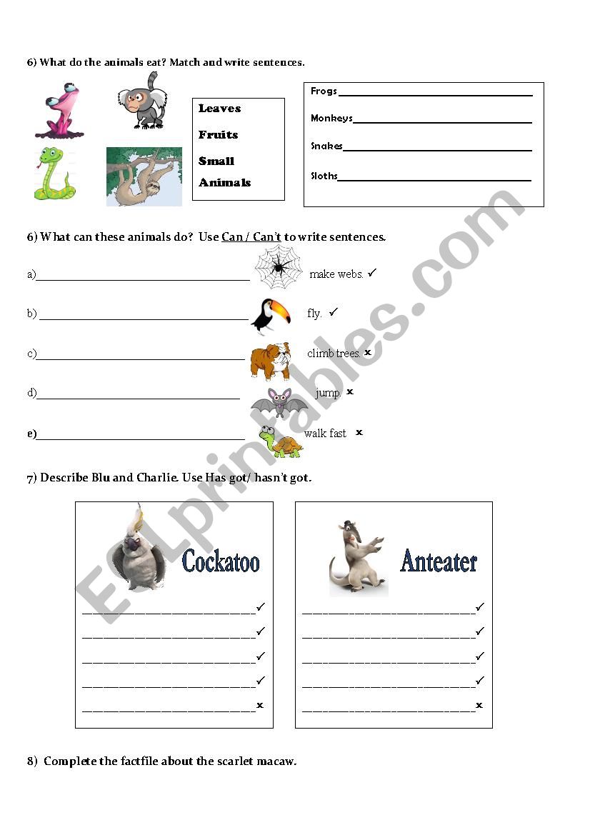 Rio 2 (PART 2/2) worksheet