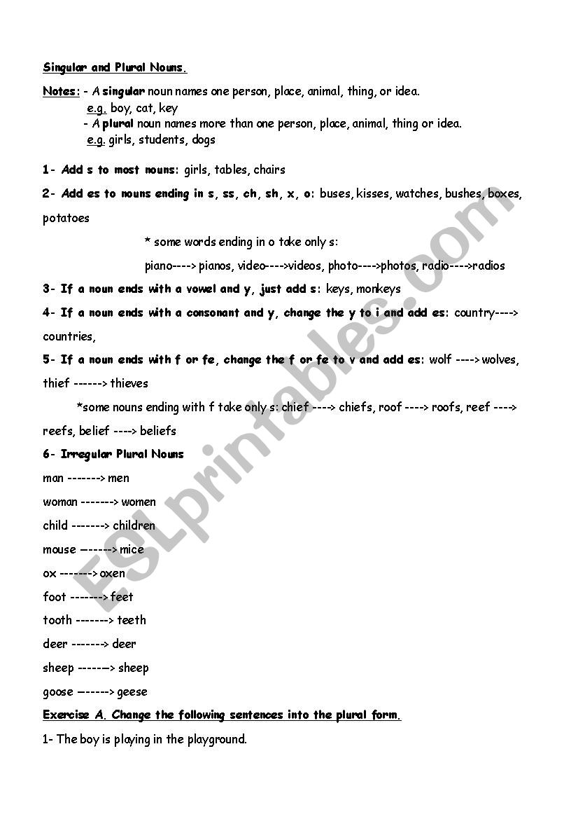 Singular and Plural Nouns worksheet