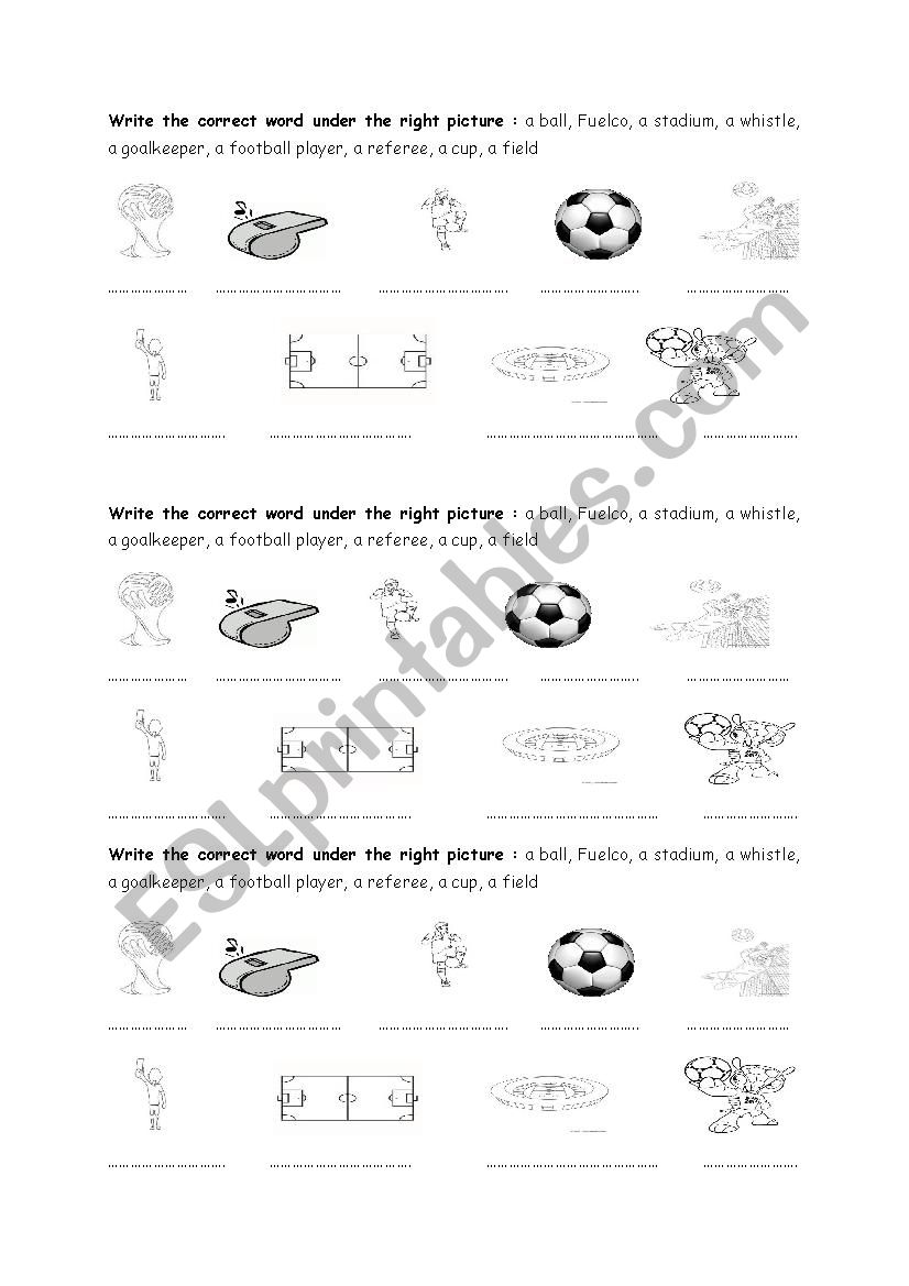 world cup vocabulary worksheet 