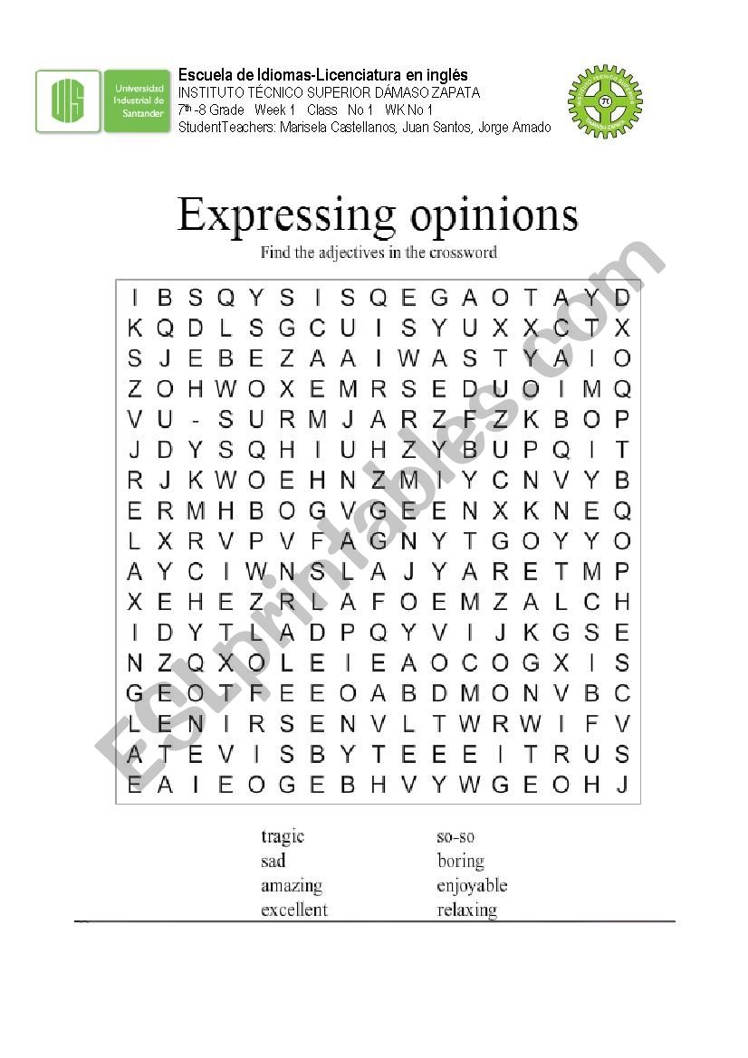 Adjectives expressing opinions