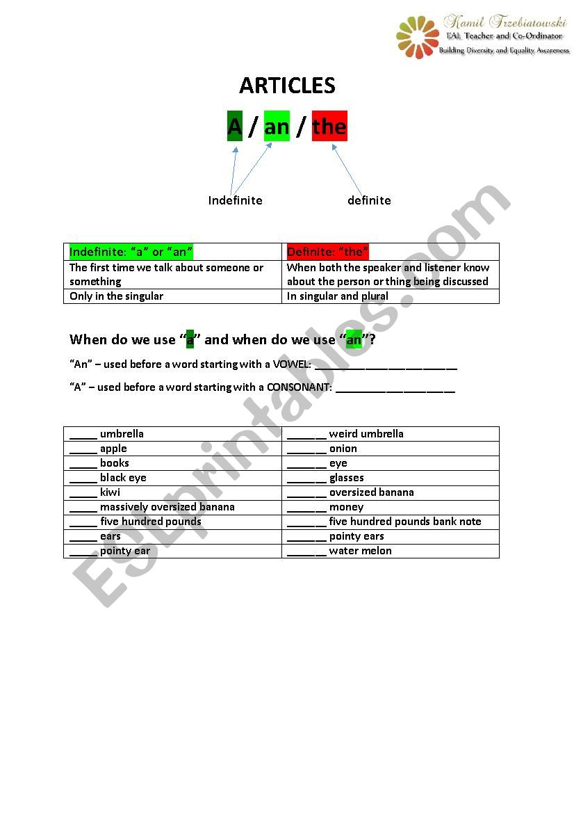 Articles - a/an/the and ZERO worksheet