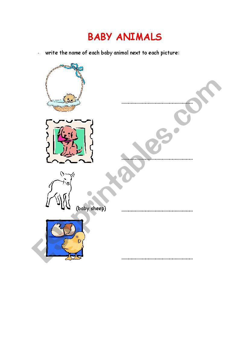 Baby Animals - Exercise 1 worksheet