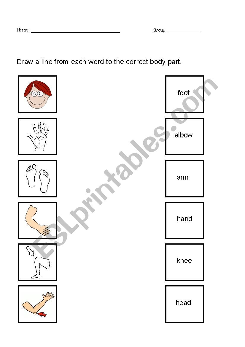 Body Parts Worksheet worksheet