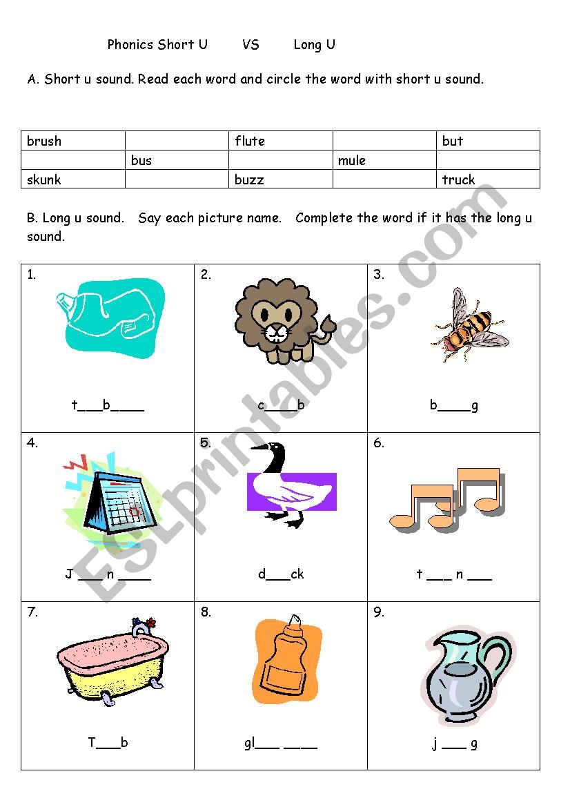 Phonics Worksheet Short u VS Long u