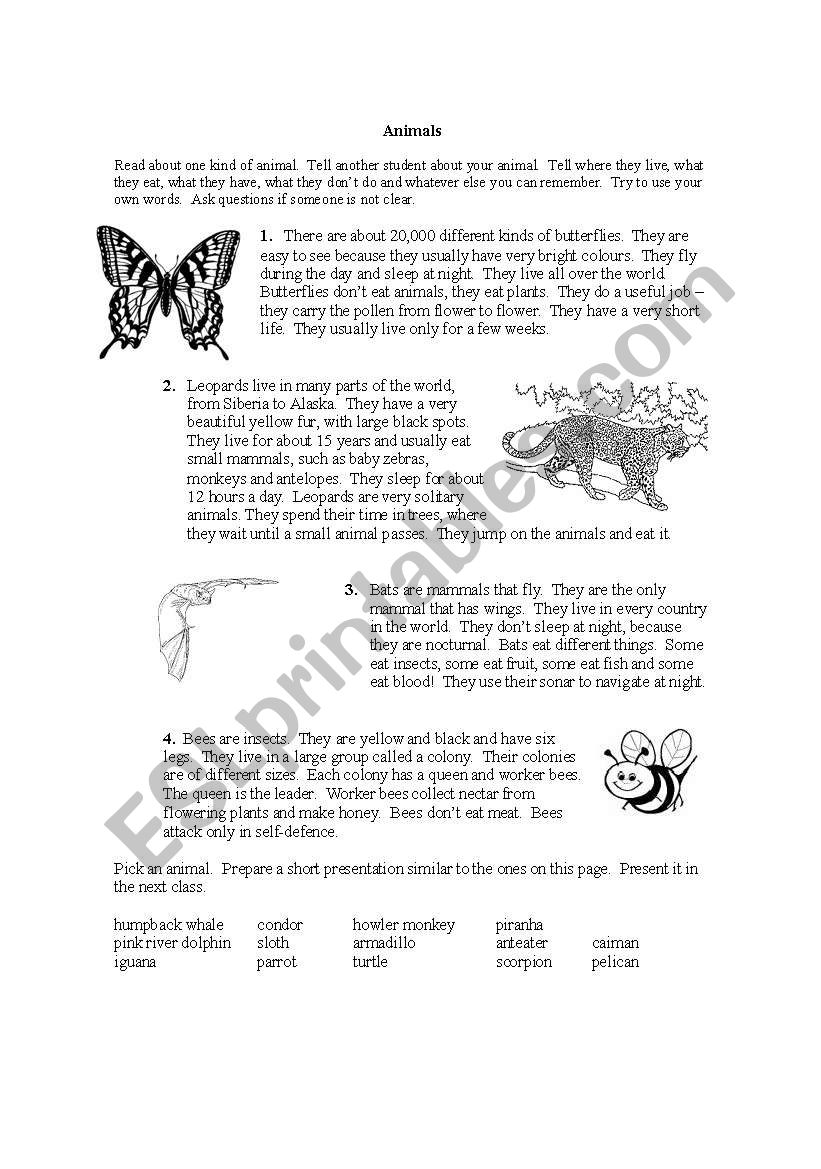 Animals worksheet