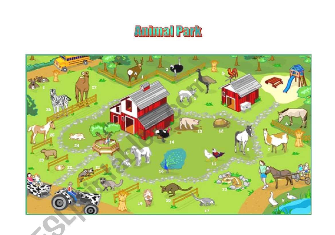 Animal park worksheet