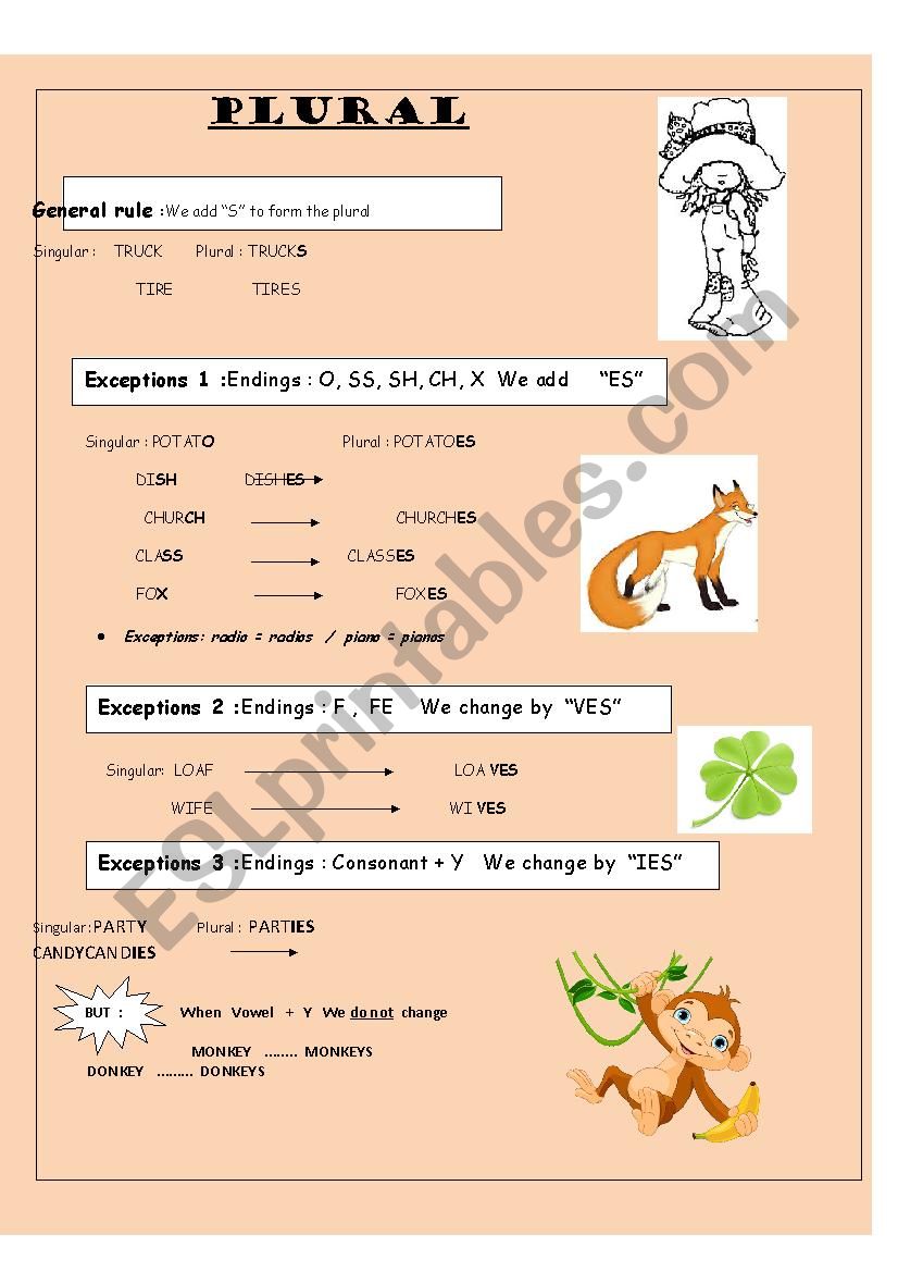 PLURALS worksheet