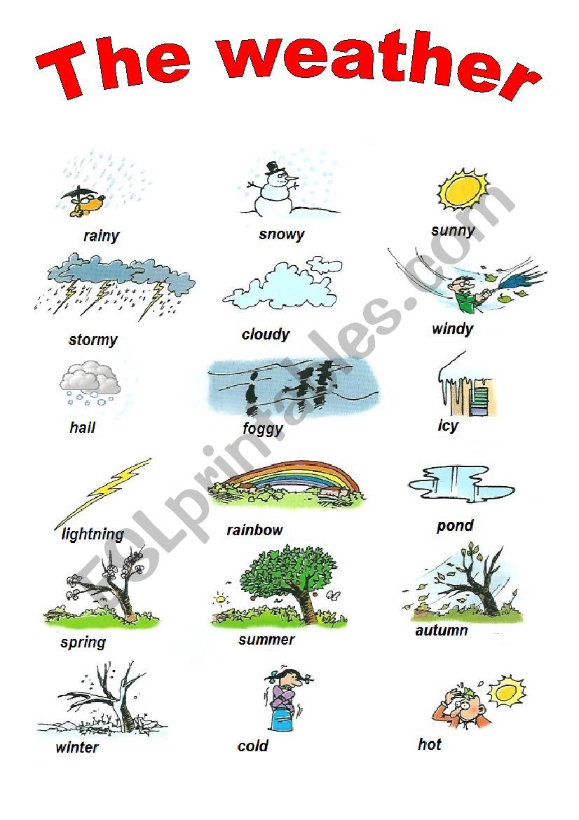 weather pictionary worksheet