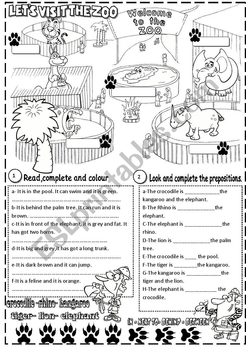 zoo worksheet