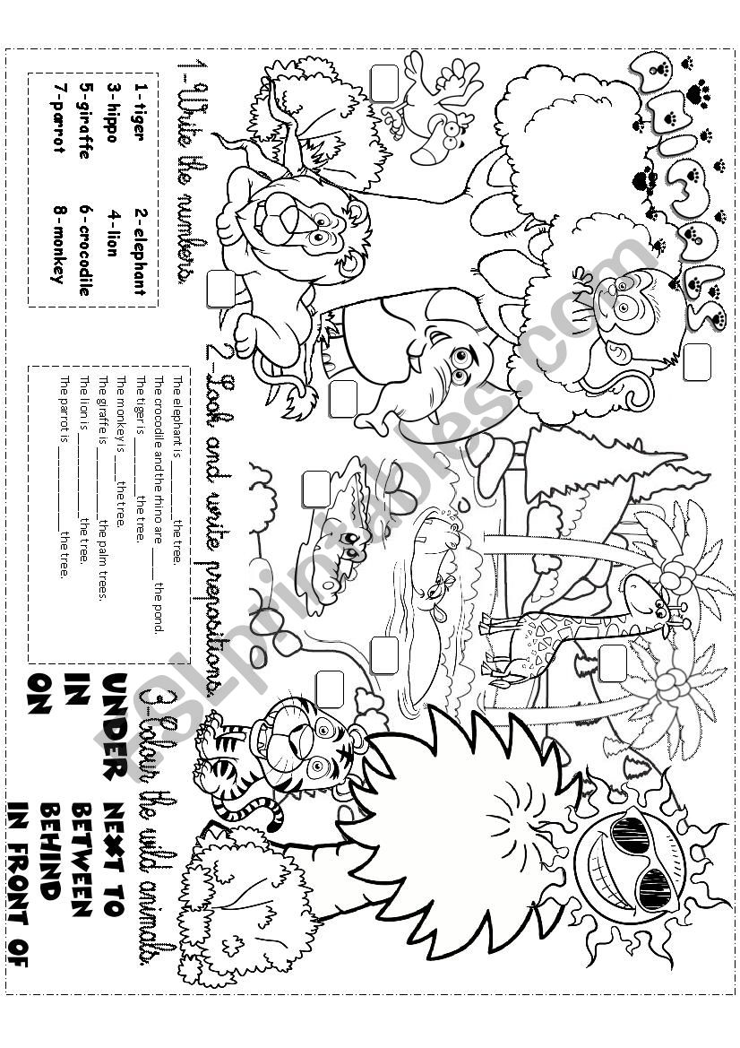 in the jungle worksheet