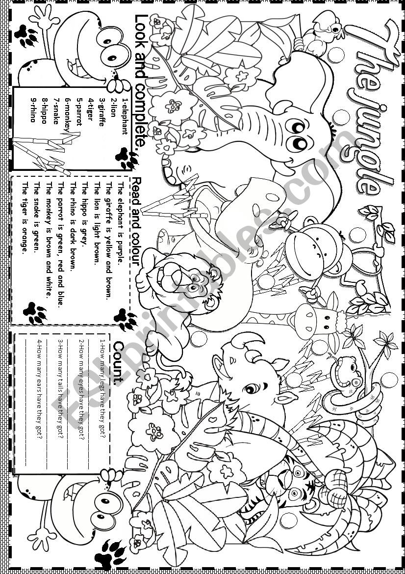 animals in the jungle worksheet