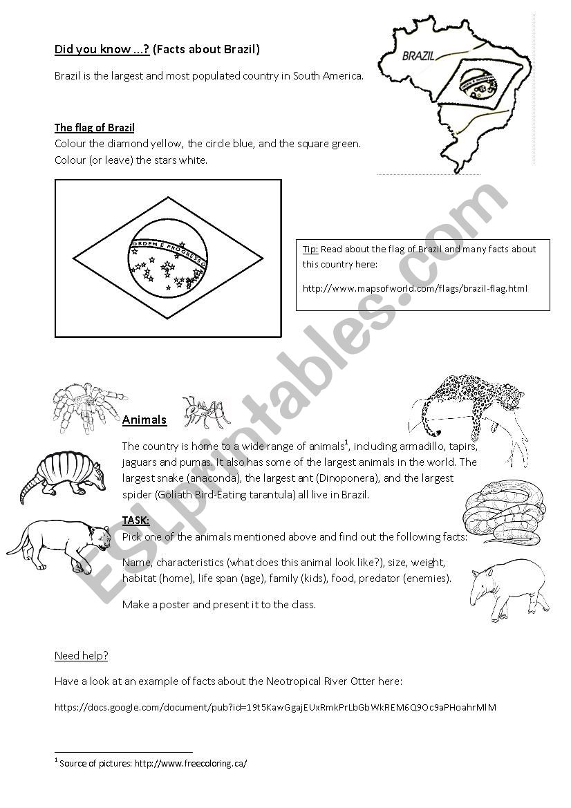 Brazil worksheet