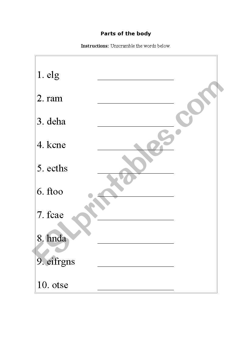 parts of the body worksheet