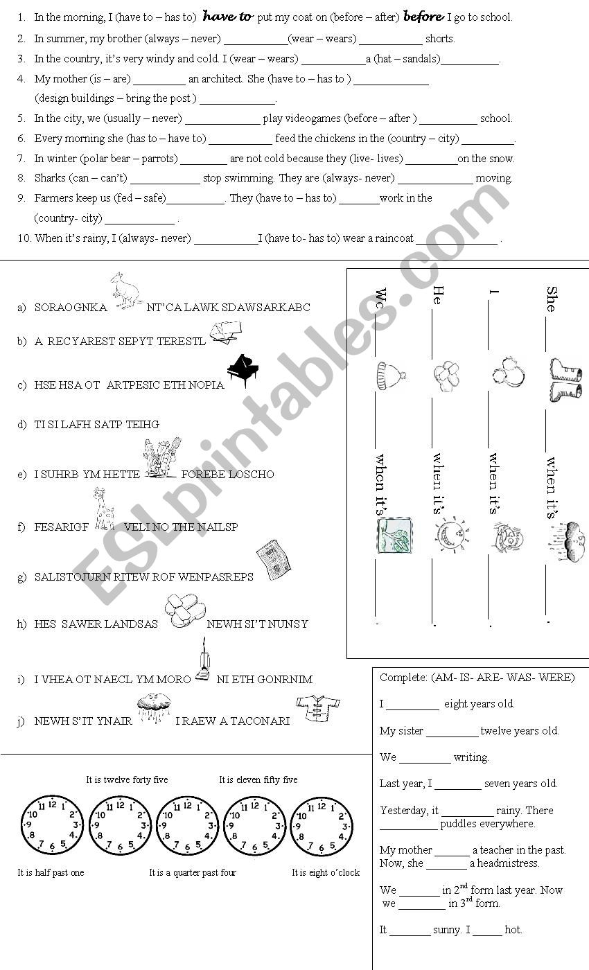 Revision worksheet worksheet