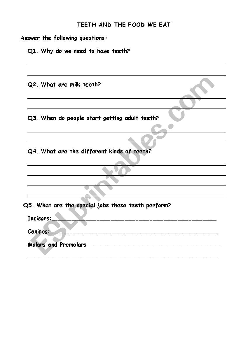 teeth and the food we eat worksheet