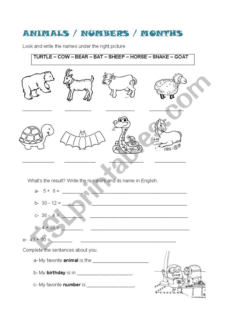 ANIMALS / NUMBERS / MONTHS worksheet