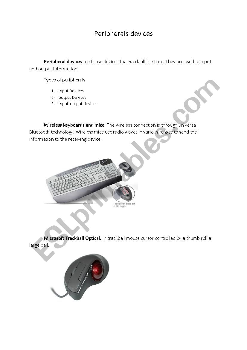 Peripheral devices worksheet