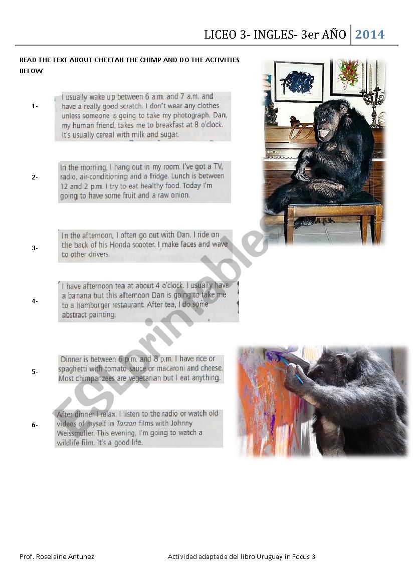 CHEETAH THE CHIMP worksheet