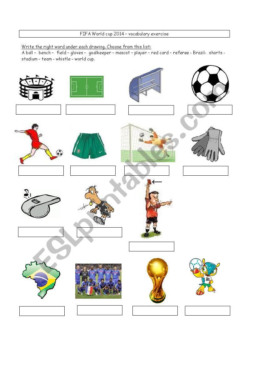 Soccer vocabulary World cup 2014