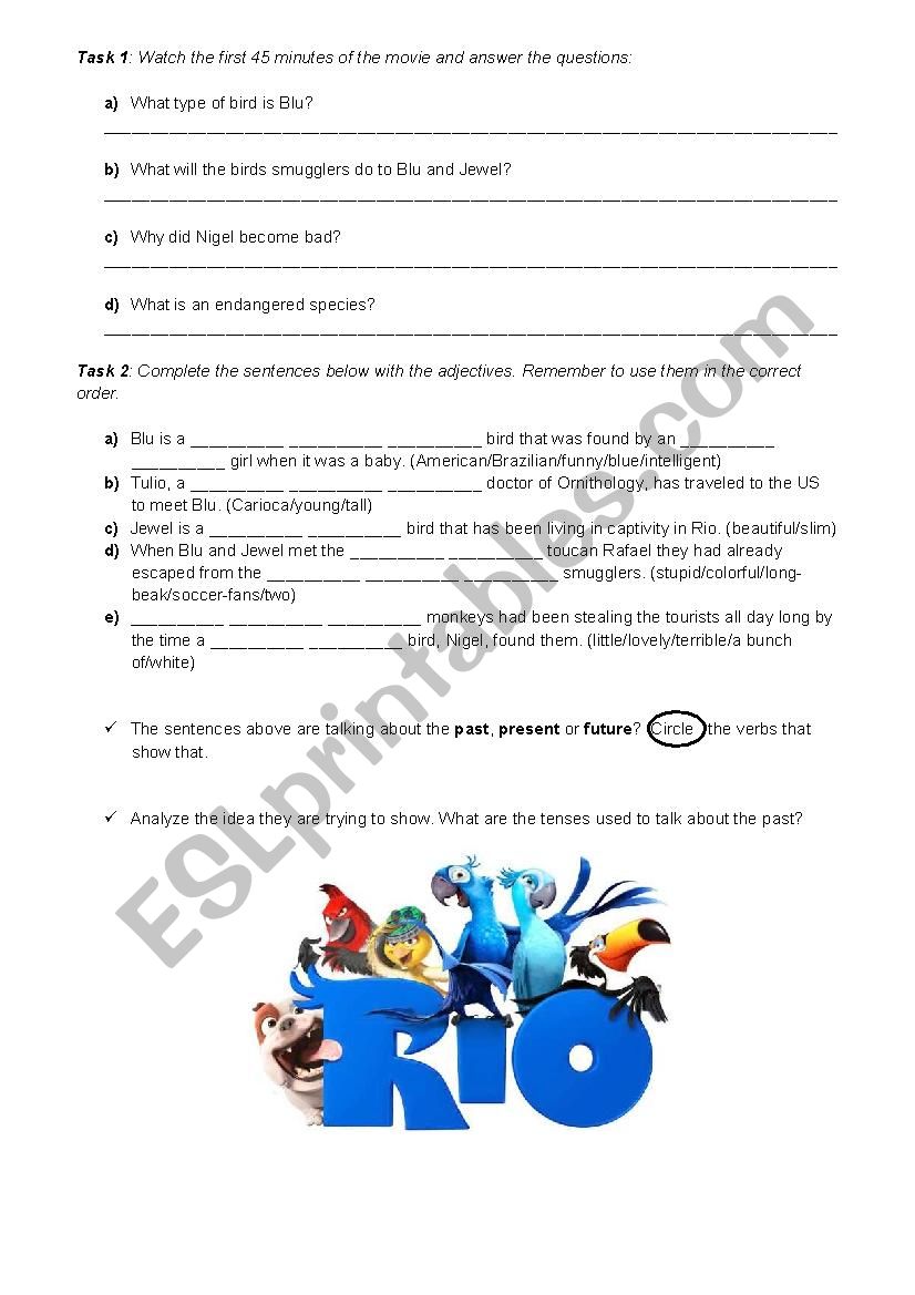 Rio Movie Activity worksheet