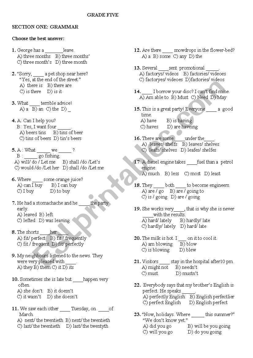 TEST GRAMMAR worksheet