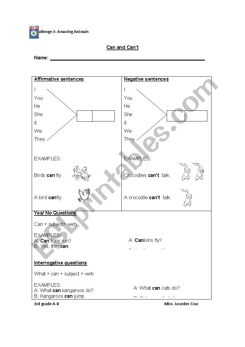 Amazing animals worksheet