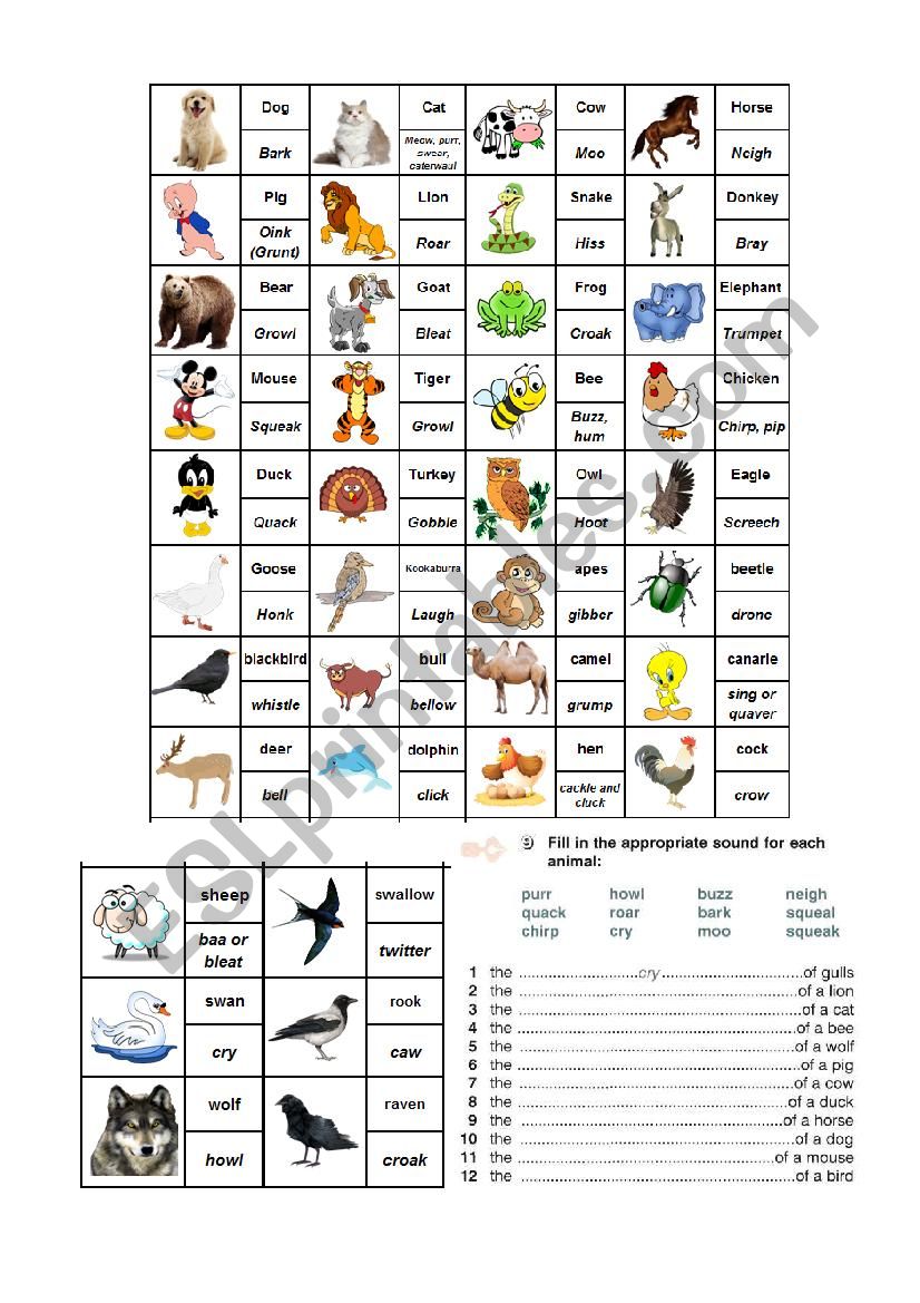 Animal & Bird Sounds - ESL worksheet by Nica2209