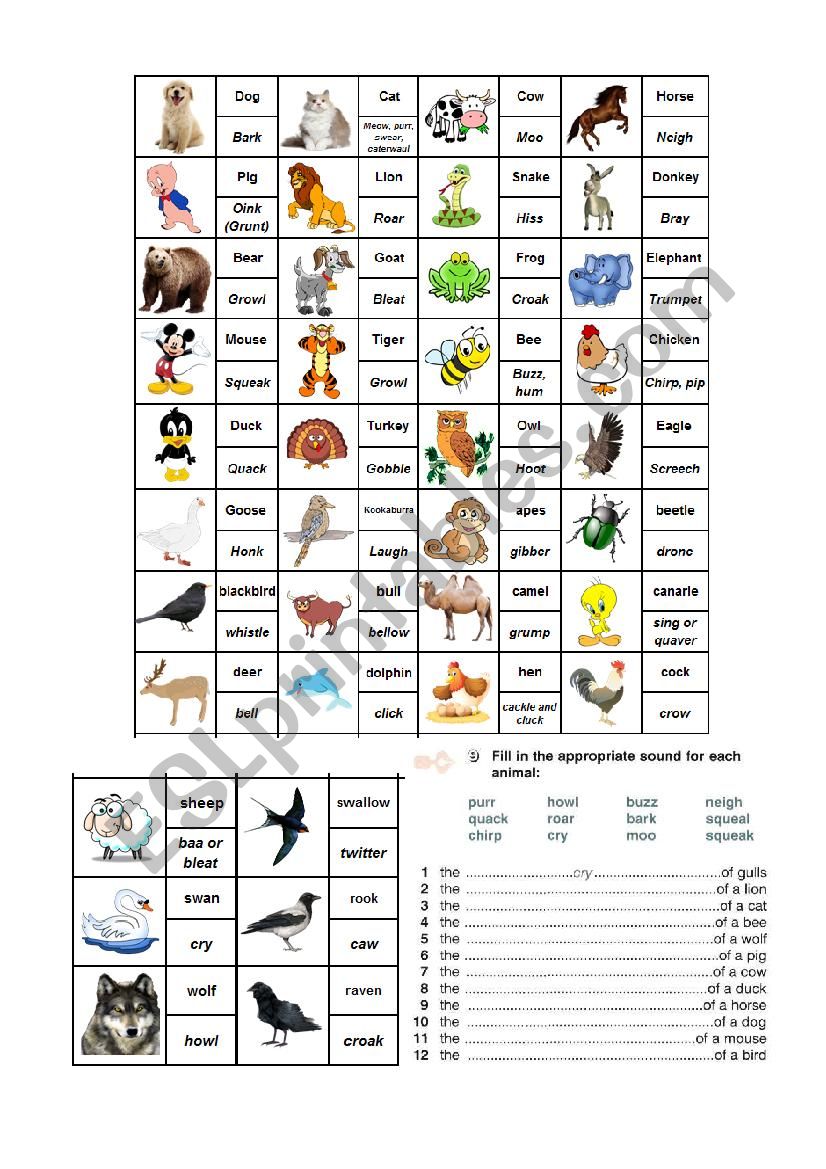 Animal & Bird Sounds worksheet