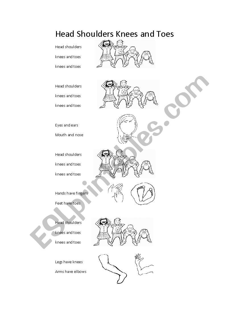 Head Shoulders Knees and Toes Lyrics with Extra Verses