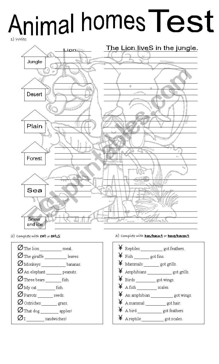 Animal Homes worksheet