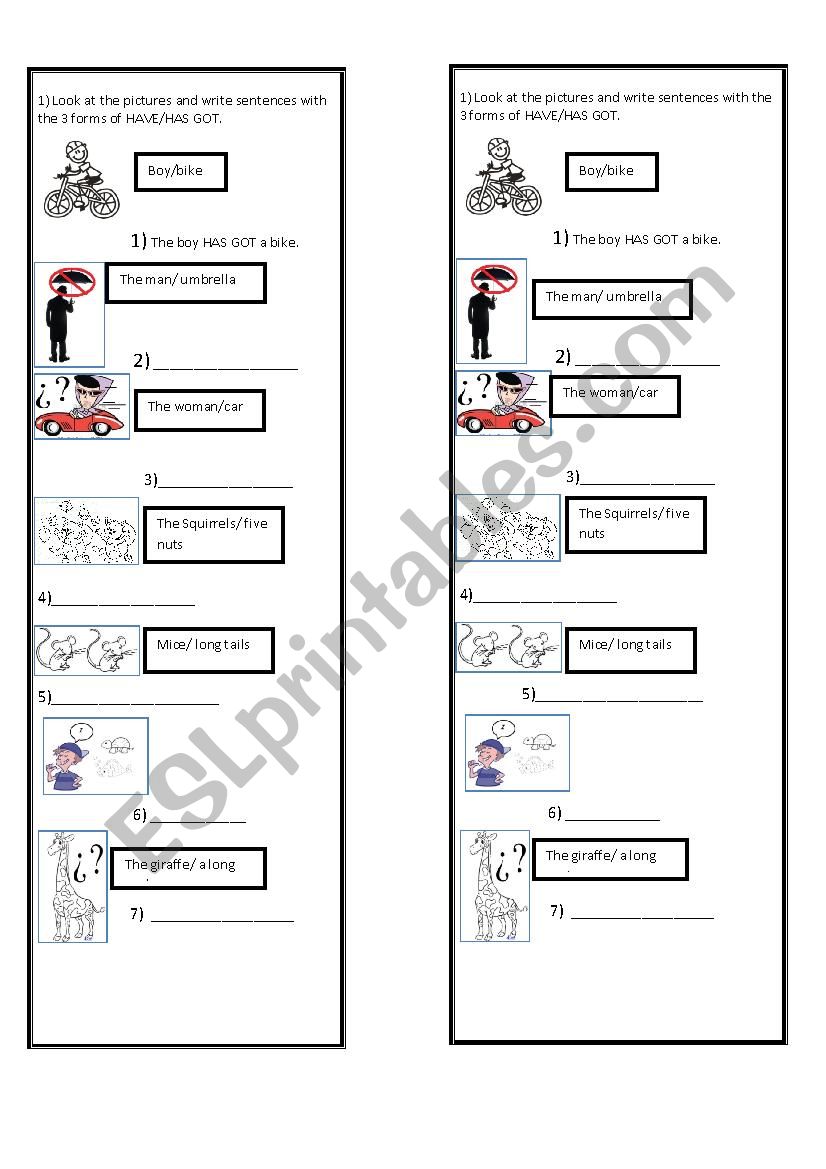 Have/ Has got exercises worksheet