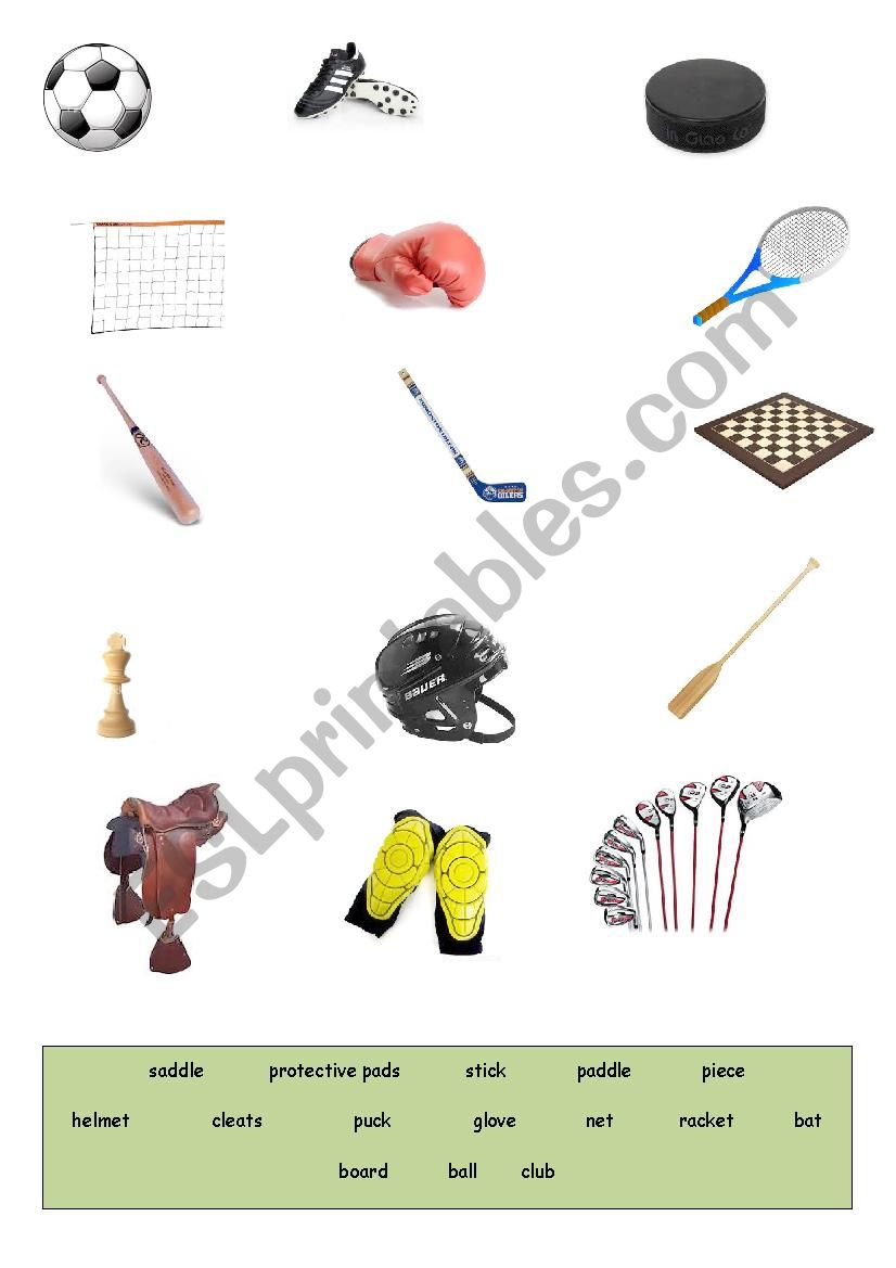Sport equipment worksheet
