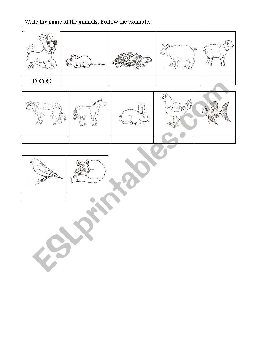 Names of the Animals worksheet