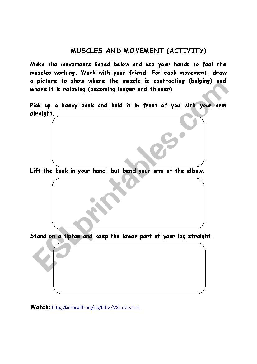 Muscles & Movement worksheet