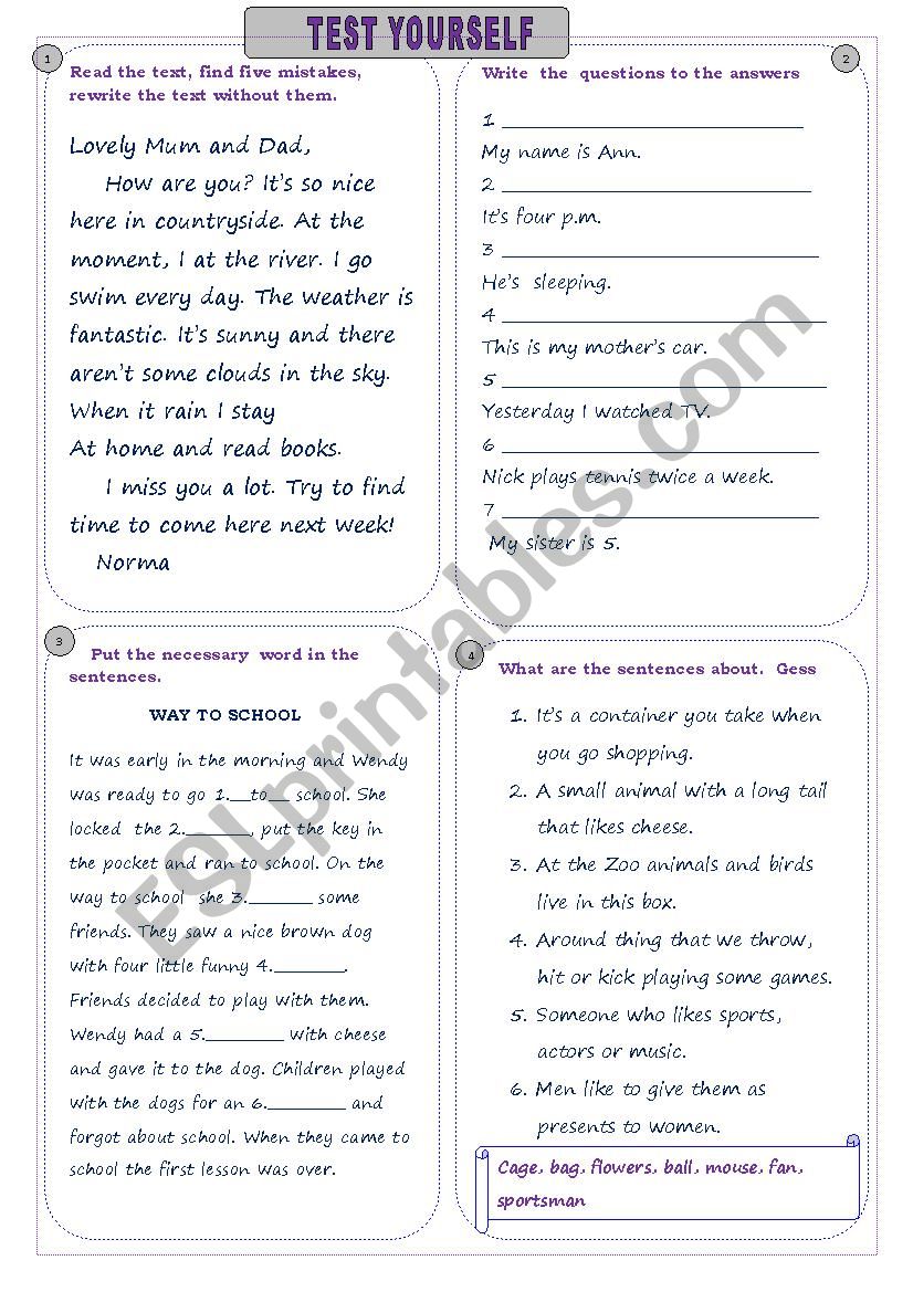 Test  for young learners worksheet