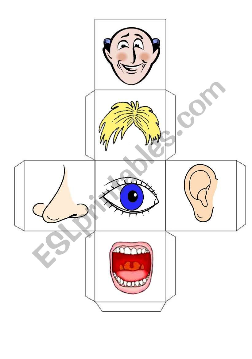 Body dices I worksheet