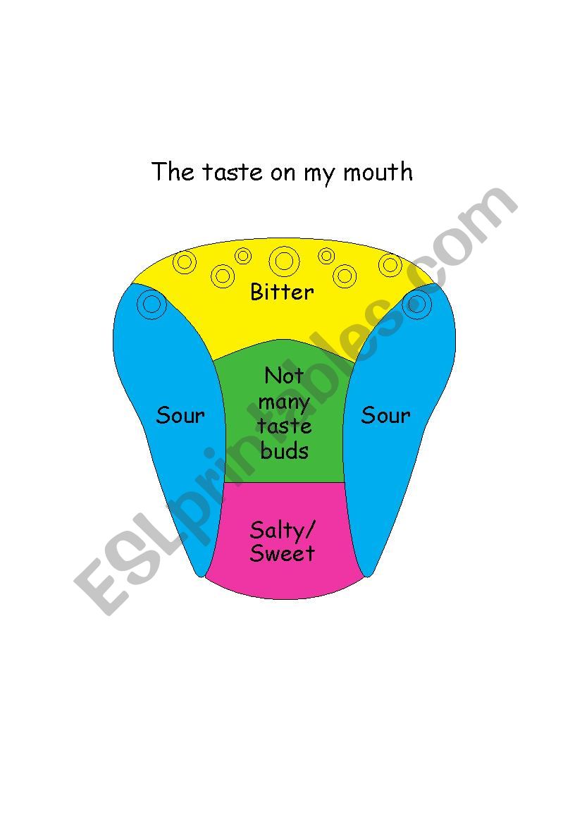 Taste on your mouth worksheet