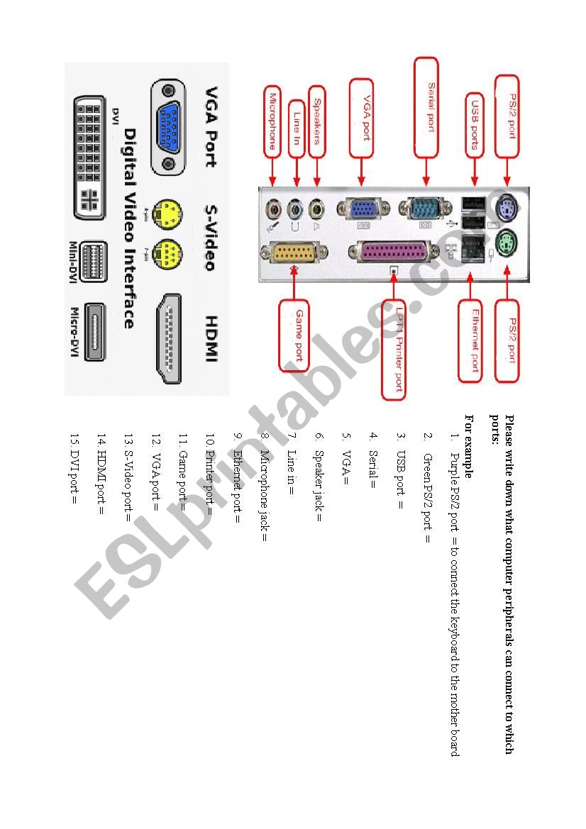 Computer Port Exercise worksheet