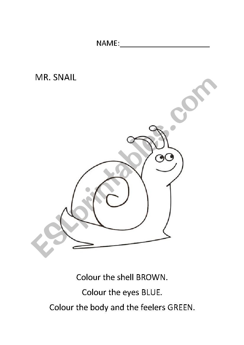 Snail worksheet