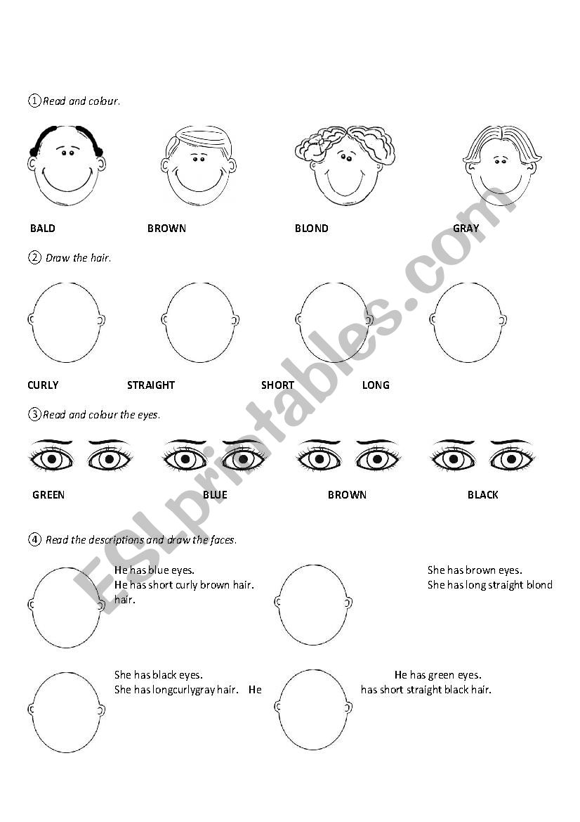 VOCABULARY - HAIR AND EYES worksheet