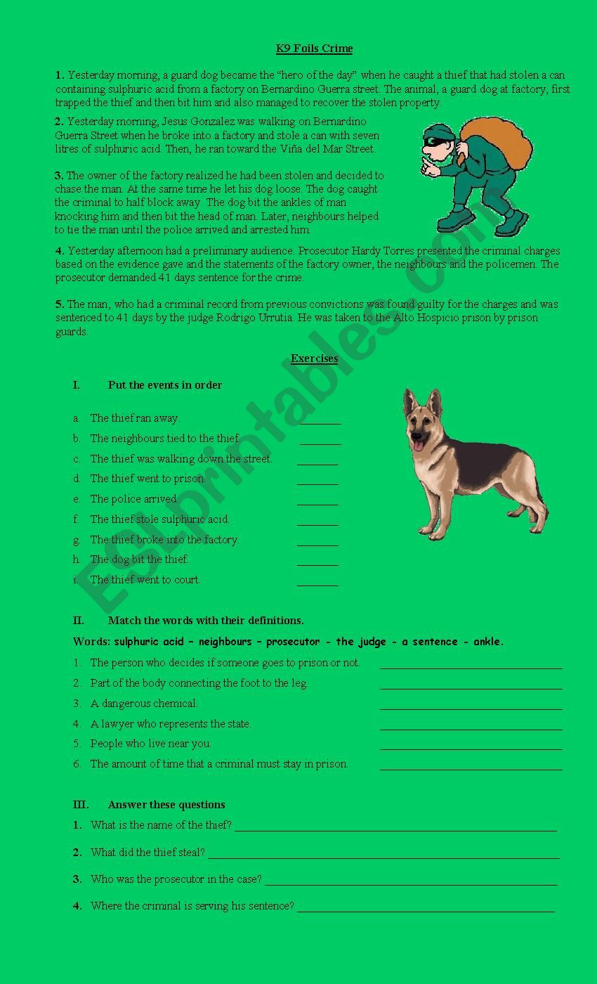 K9 Foils crime worksheet