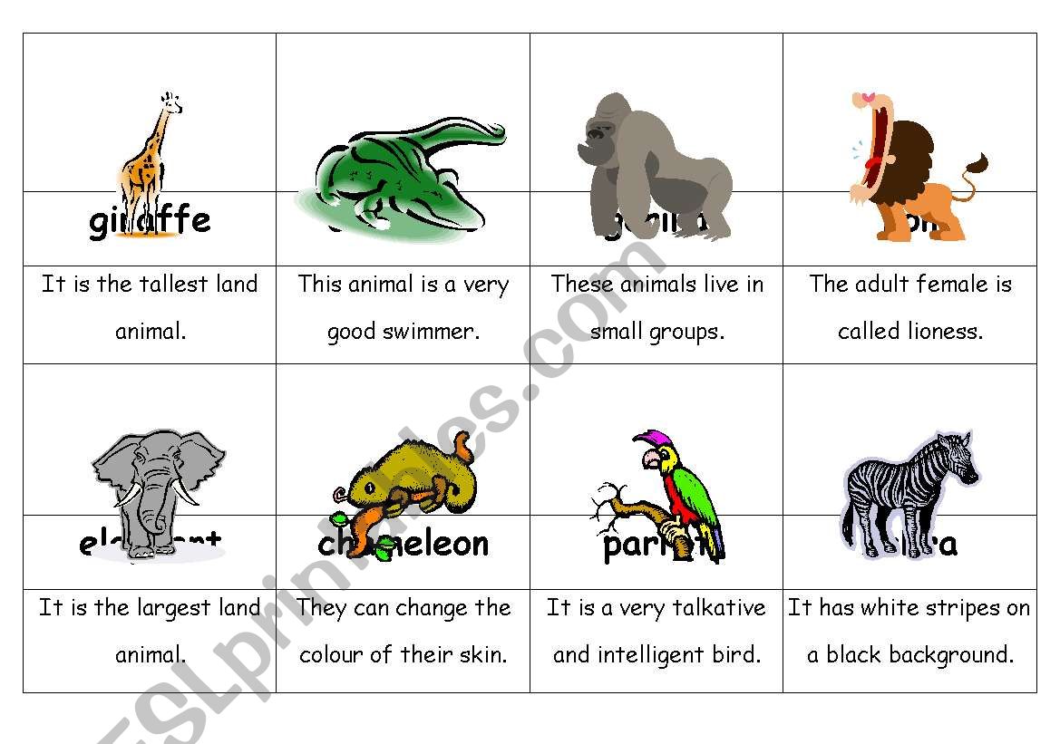 African Animals worksheet