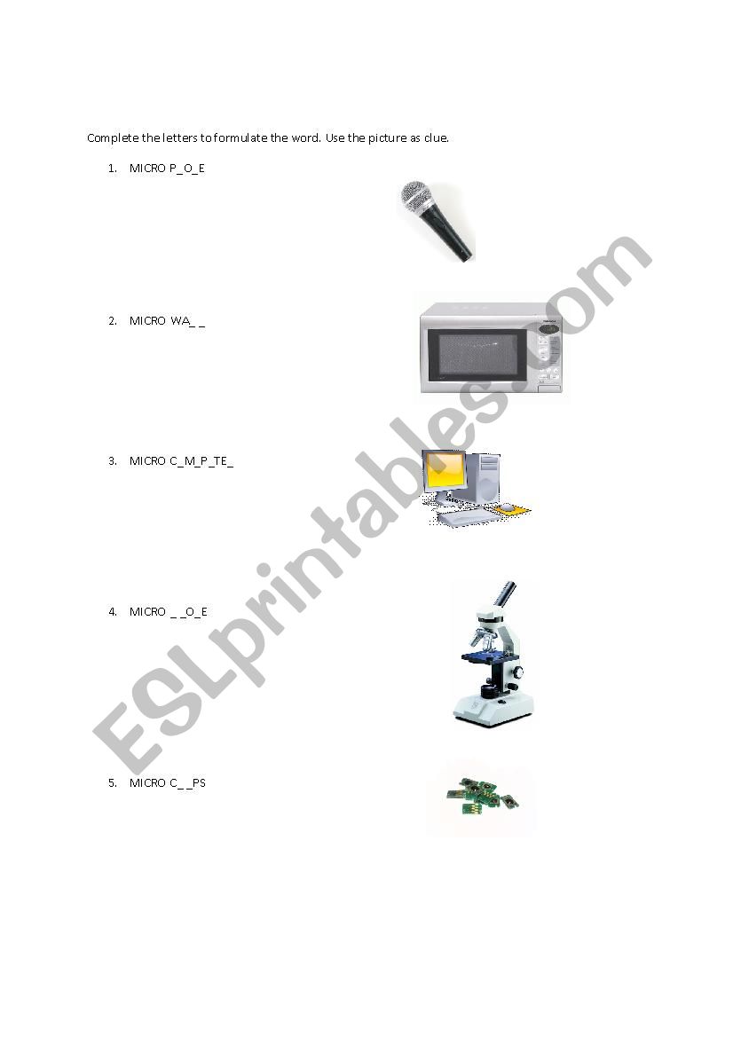 MICRO COMPUTER worksheet
