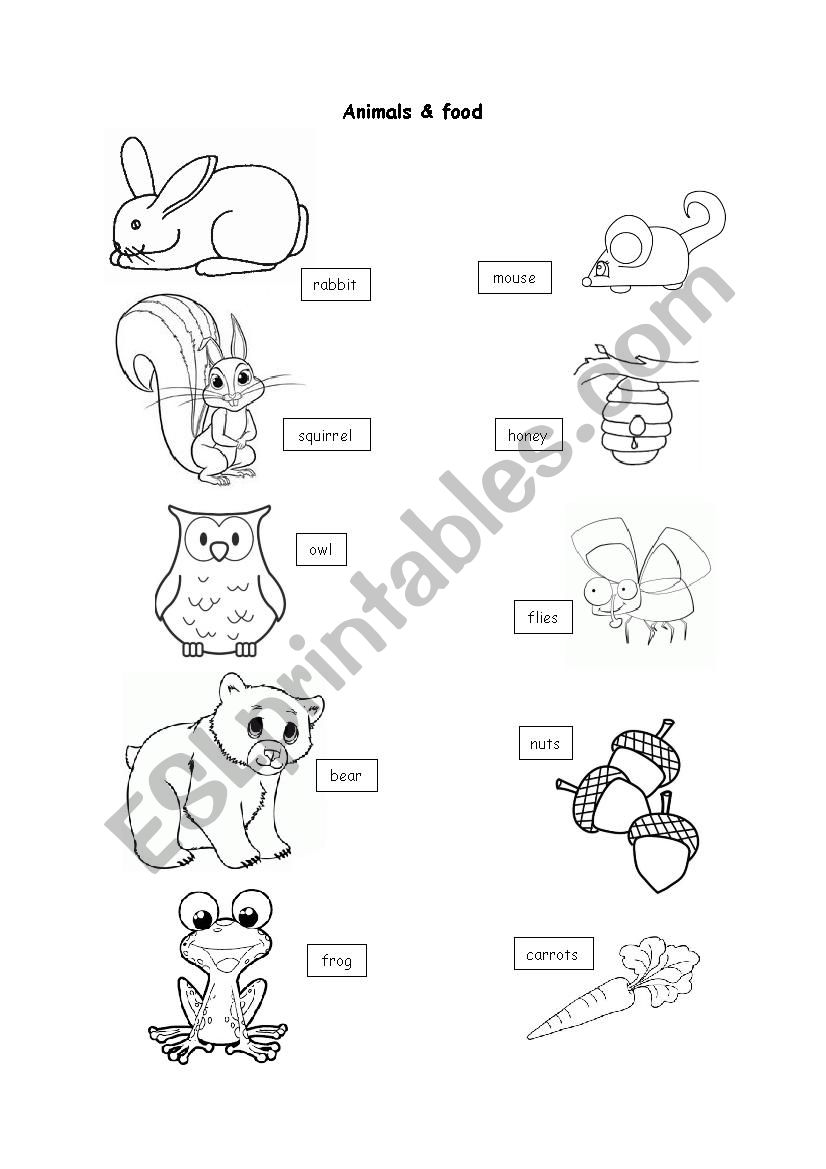 Forest Animals & Food worksheet