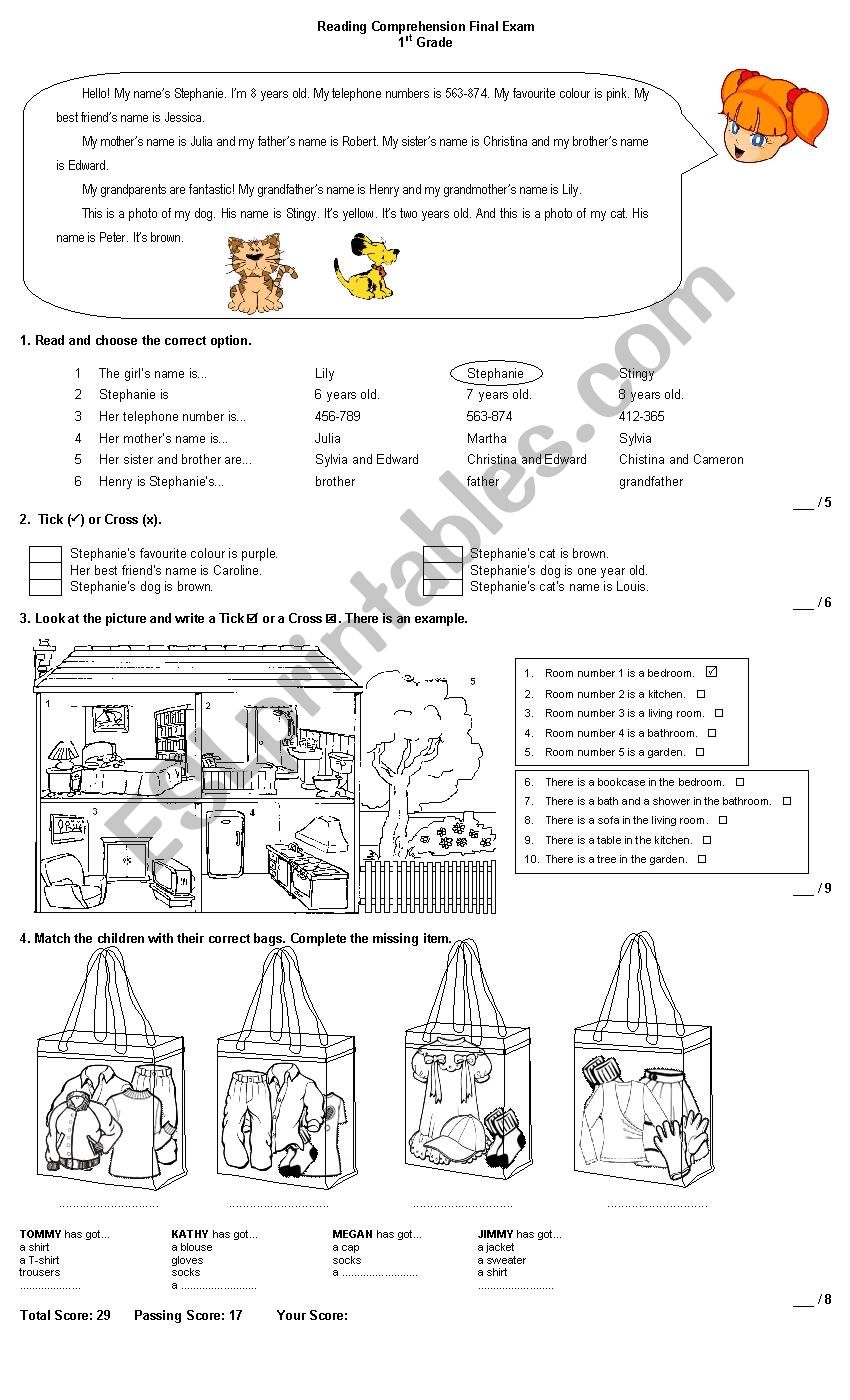 Reading Comprehension Test worksheet