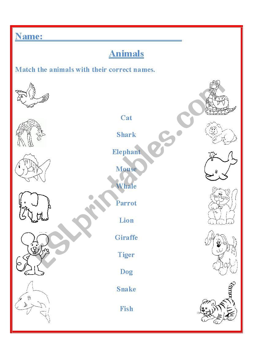 animals match  worksheet