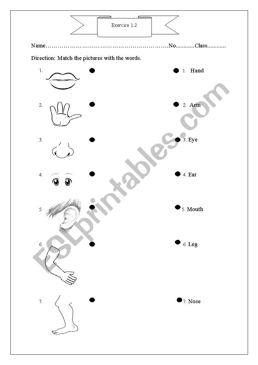 Part of body worksheet