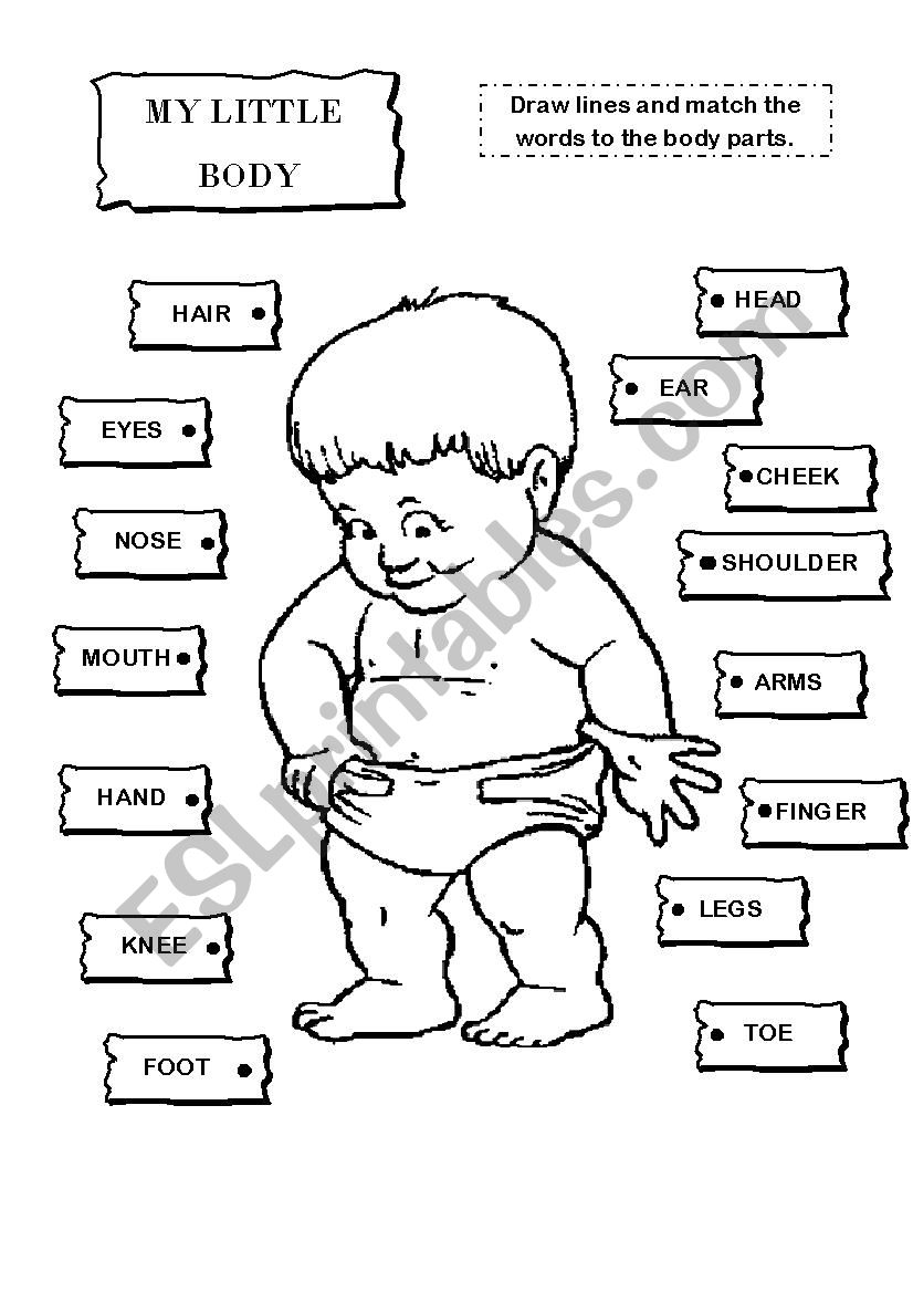 BODY PARTS 1 worksheet