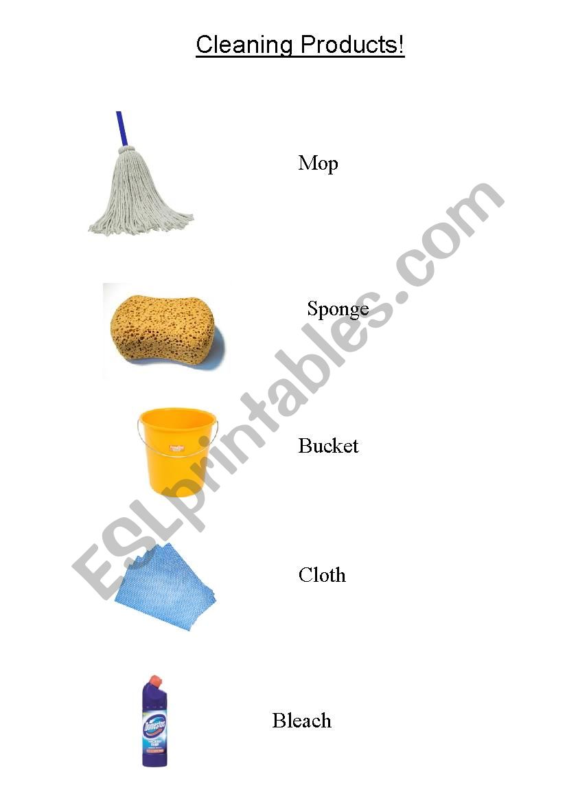 Cleaning products worksheet