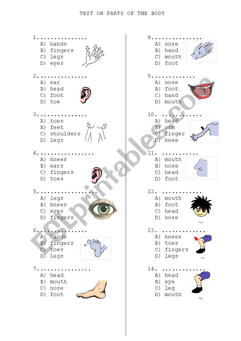 body parts  worksheet